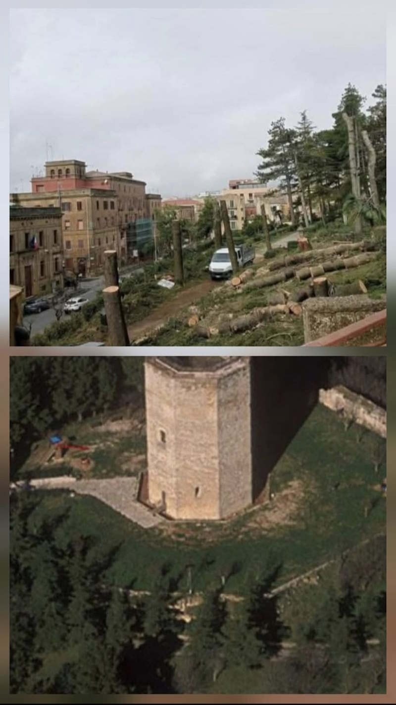 Enna. Non si placano le polemiche su taglio alberi alla villa Torre di Federico e sull'Autodromo di Pergusa