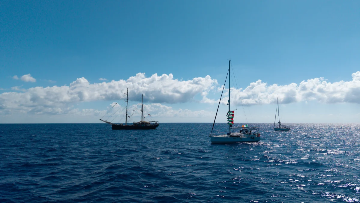 La Global Sumud Flottilla al porto di Catania, in apertenzo per Gaza - 
