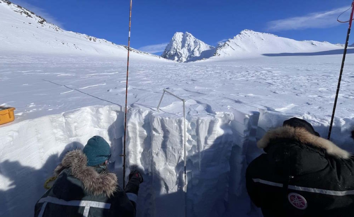 Svalbard, la neve artica è un serbatoio di nuovi processi chimici naturali - 