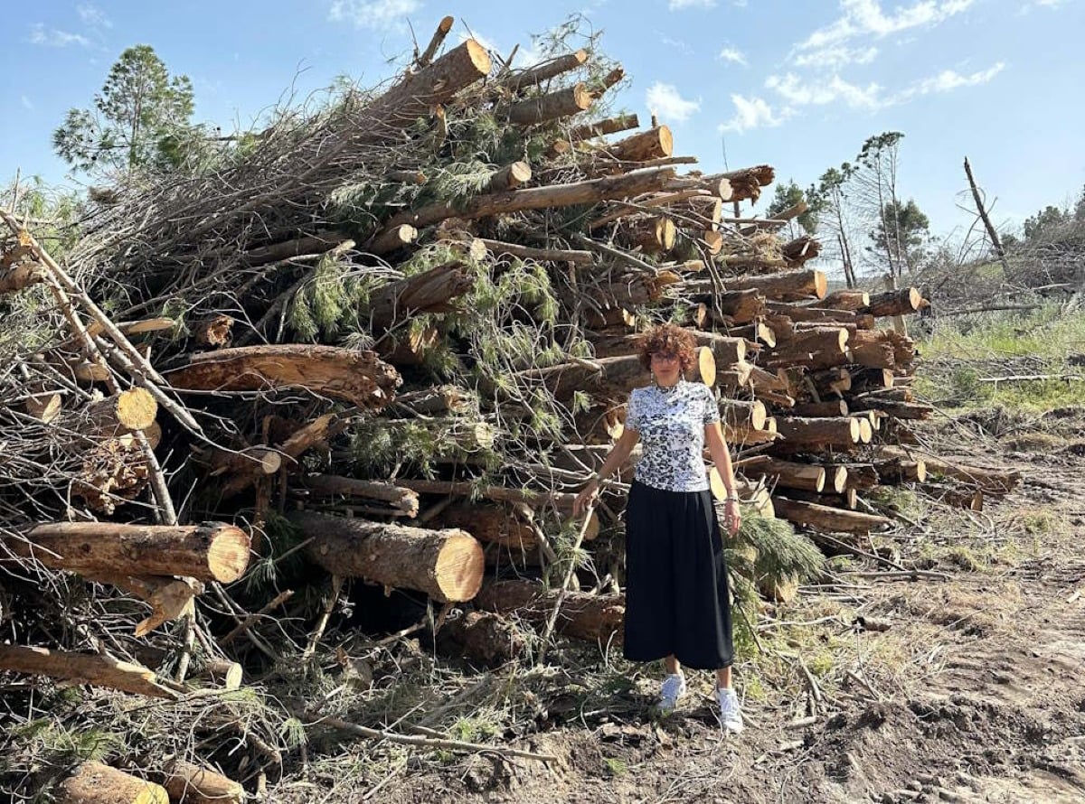 Bloccato taglio alberi al Parco Minerario “Grottacalda - Floristella" dall'on.Eliana Longi - 