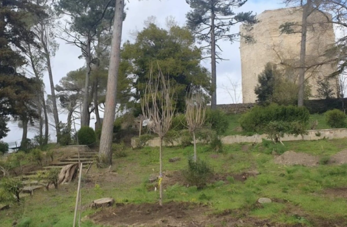 Enna. Cinquantamila euro e qualche rosa non cancellano lo scempio della Villa Torre di Federico - 