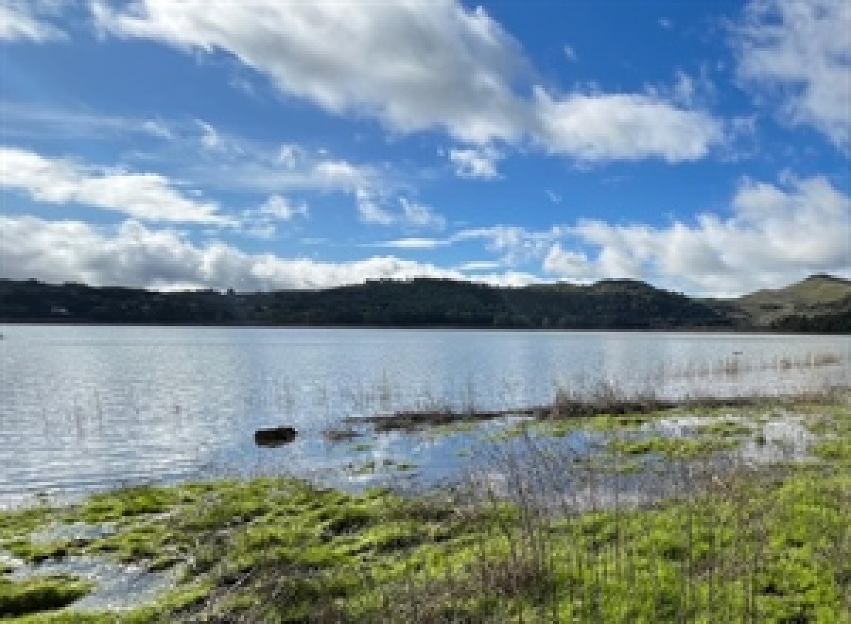 Enna: lago di Pergusa sorvegliato speciale sulla biodiversità - 