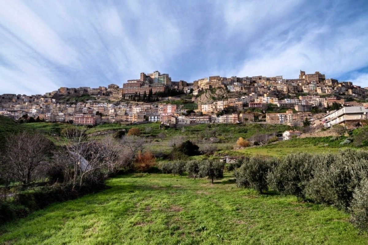 Troina. Uccise la moglie in strada, 59enne condannato all'ergastolo - 