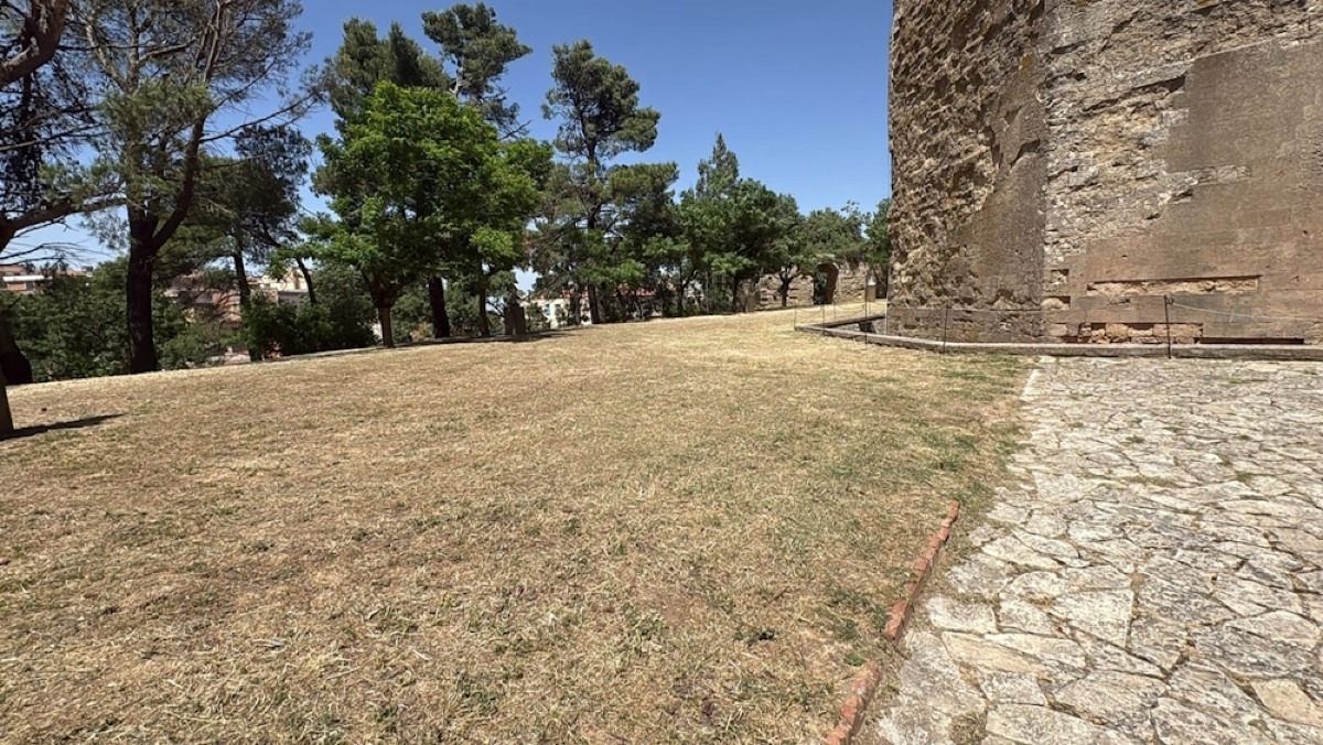 Comune Enna, al via il piano di manutenzione del verde e di decoro urbano  - 