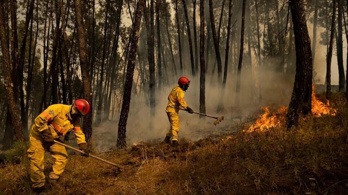 Antincendio, sei milioni per tutelare le riserve - 