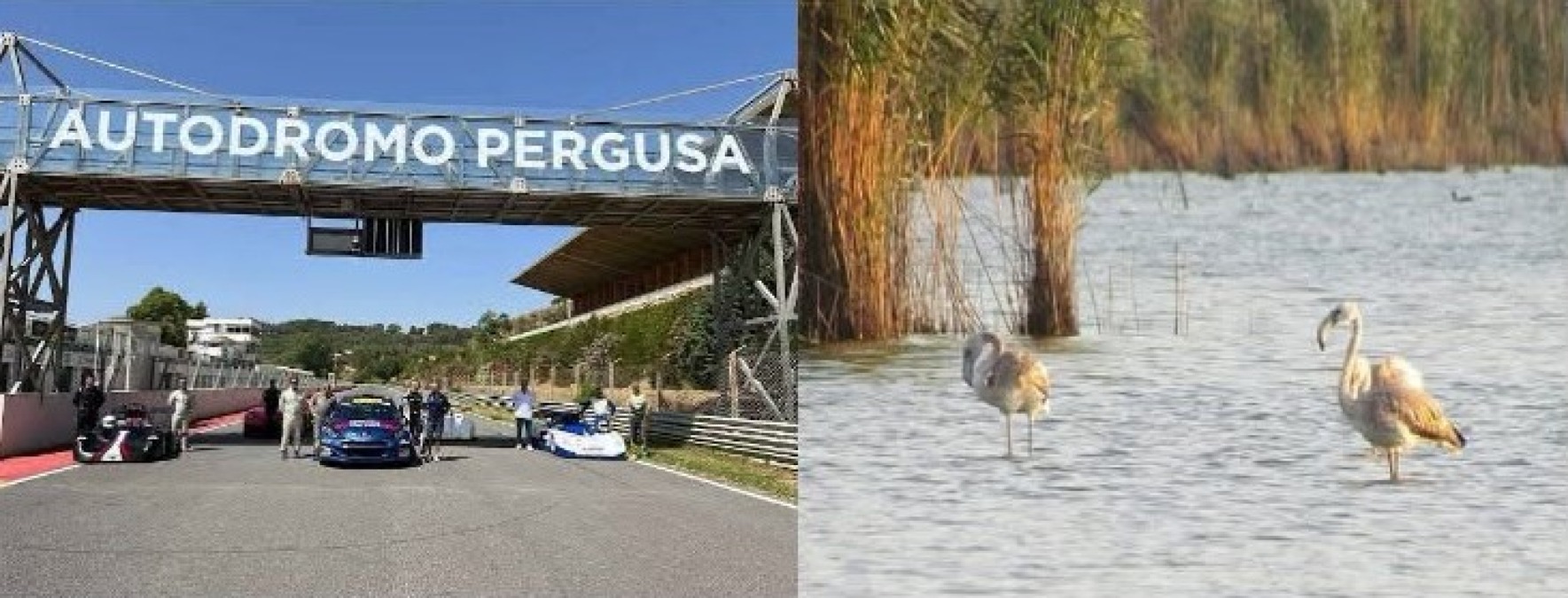 Pillole by Massimo Greco: riflessioni a margine del riesumato Consorzio Autodromo di Pergusa - 