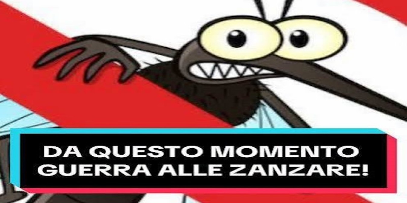 Pillole by Massimo Greco: considerazioni a servizio dei fruitori della conca pergusina - 