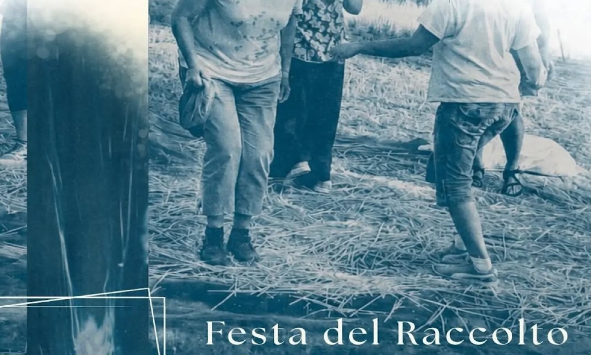 Enna. "Festa del Raccolto" presso l'Azienda Agricola Sorelle Turco - 
