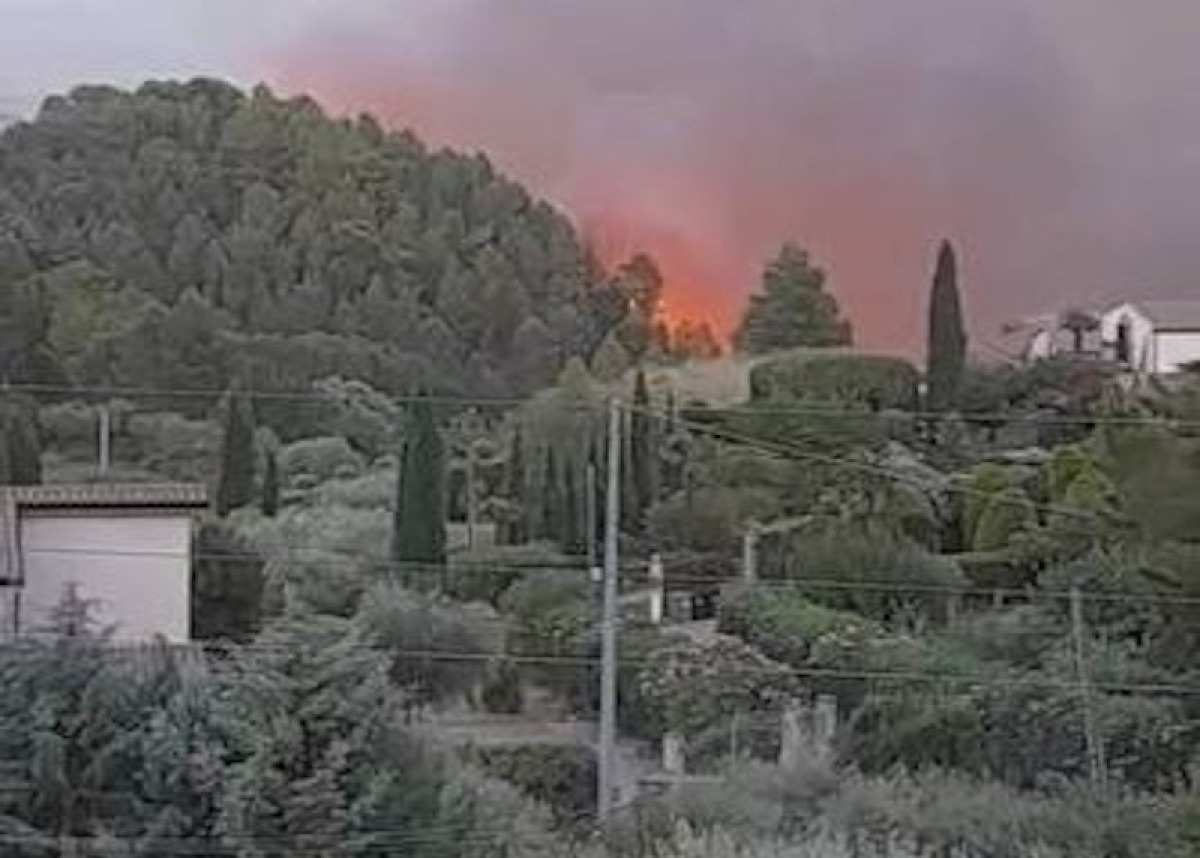 Enna, ancora incendi in contrada Baronessa: le fiamme minacciano le case - 
