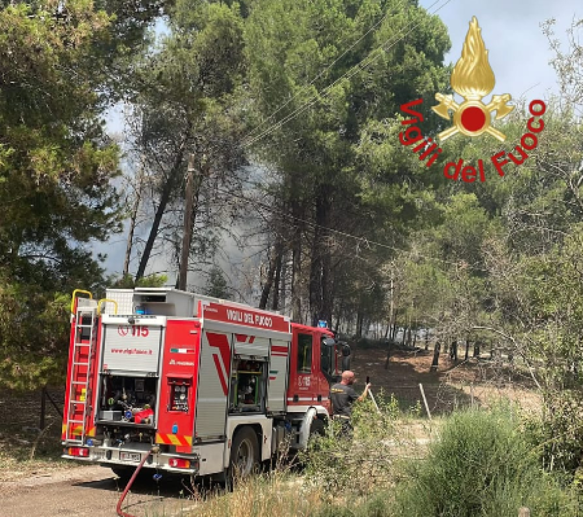 Incendi nell'Ennese: fiamme a Nissoria e Grottacalda - 
