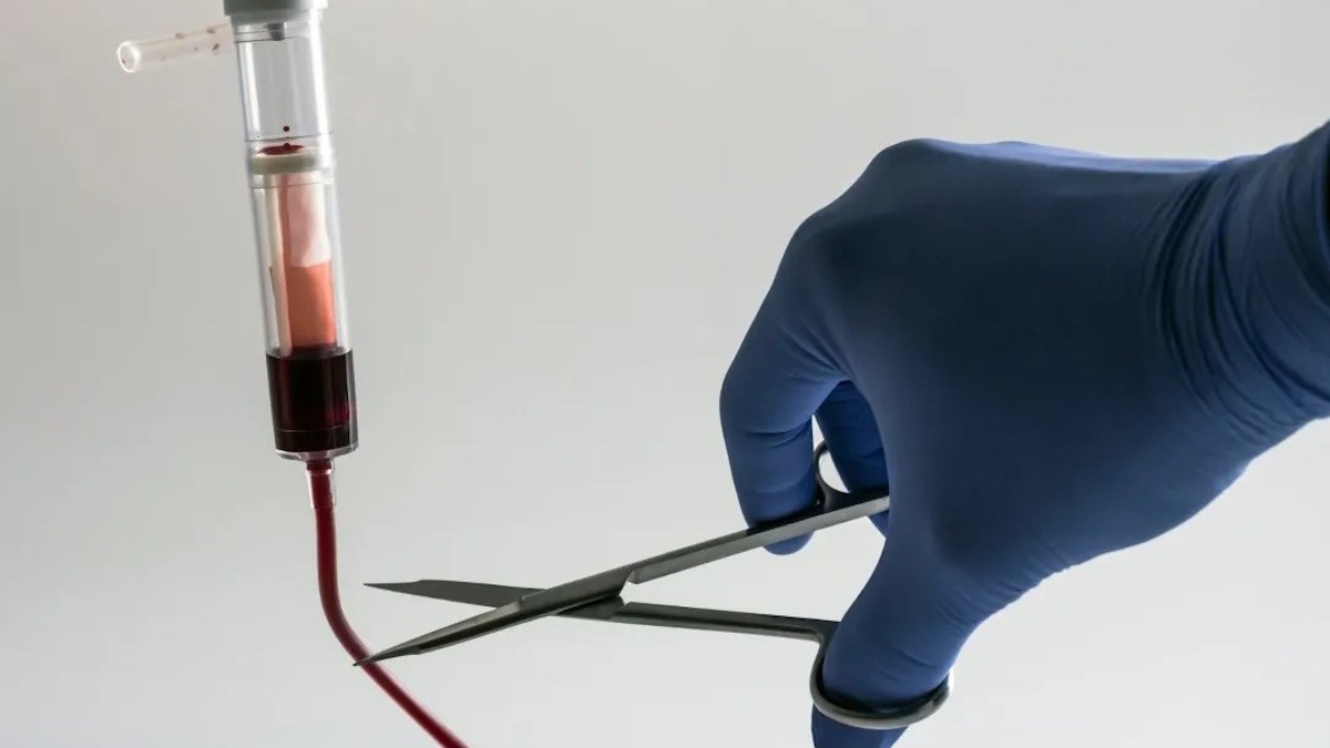 Il Suicidio Assistito potrebbe essere una nuova moda? - 