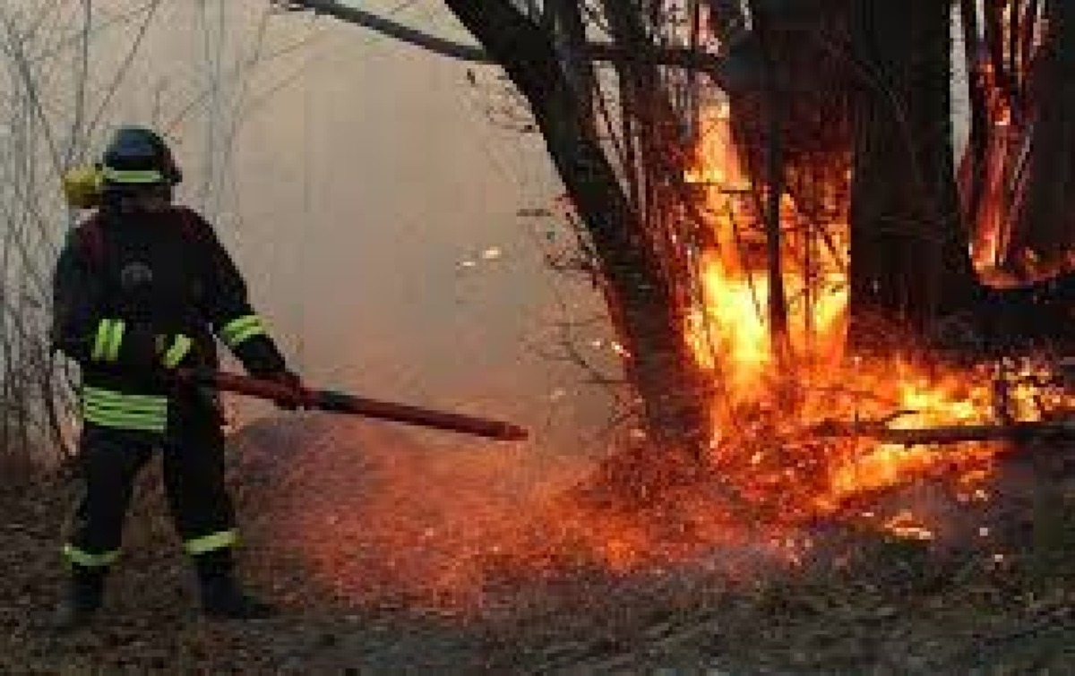 La Regione avvia la ricognizione dei danni degli incendi - 