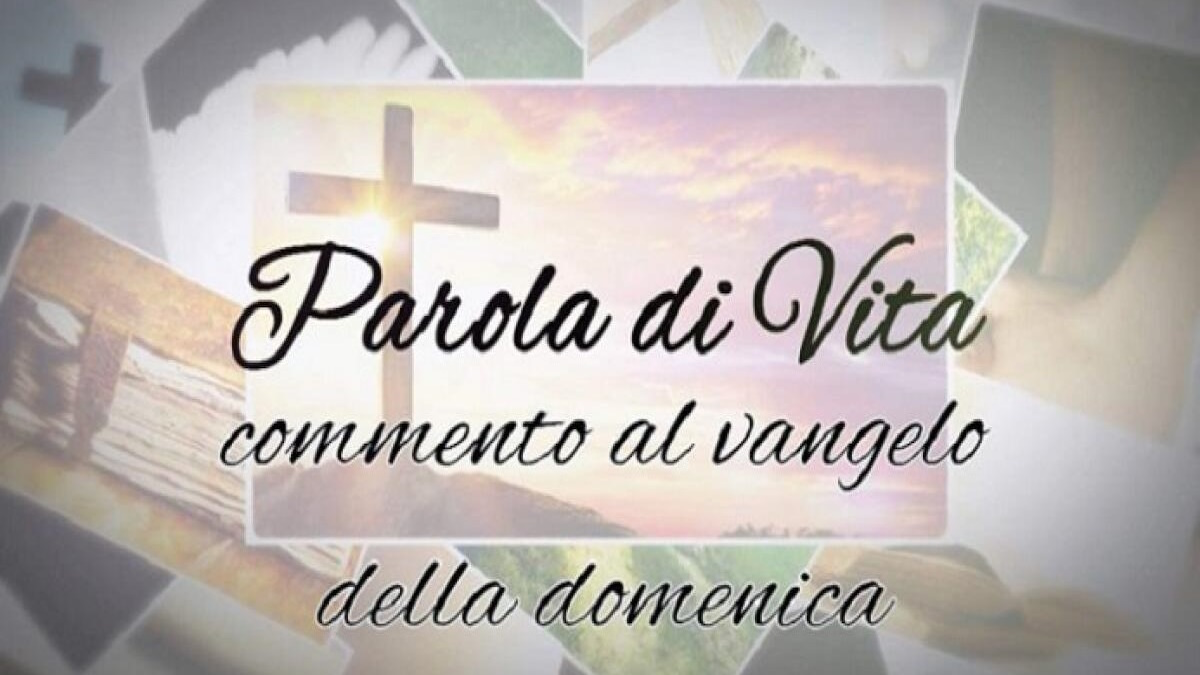 Meditazione al Vangelo domenica 9 Agosto 2026 - 