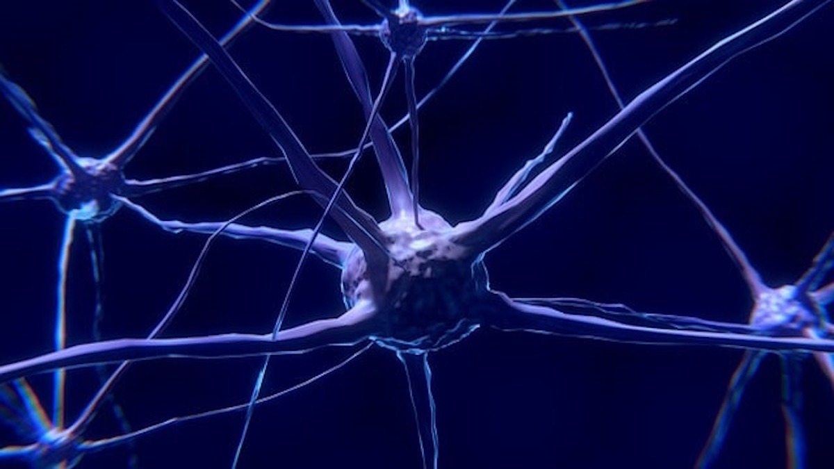 Il codice segreto dei neuroni: la memoria della nascita che costruisce il cervello - 
