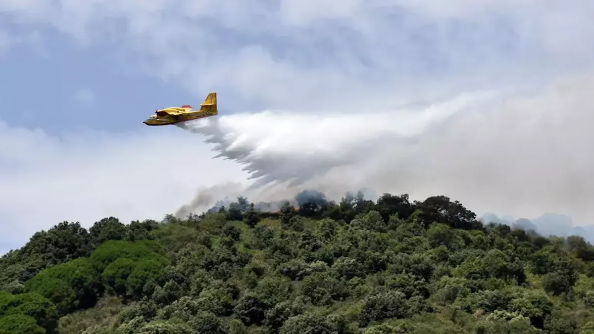 Incendi: giunta Sicilia dichiara lo stato di emergenza - 