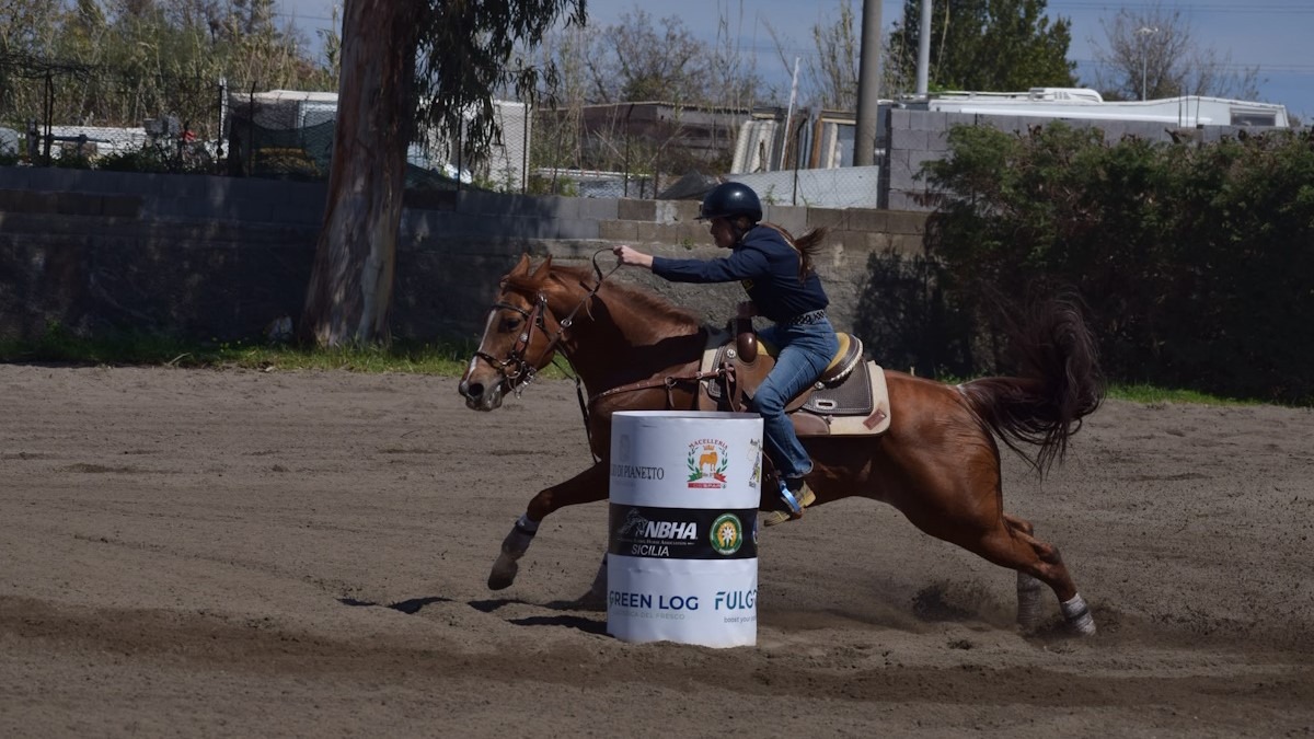 Piazza Armerina festeggia Erika Vitali: campionessa regionale di barrel racing in sella a LV Streakin Light - 