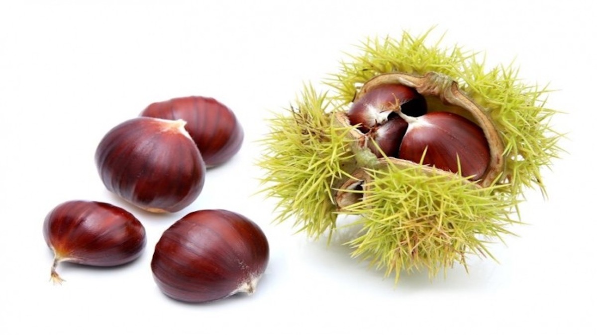 Cucinare le castagne - 