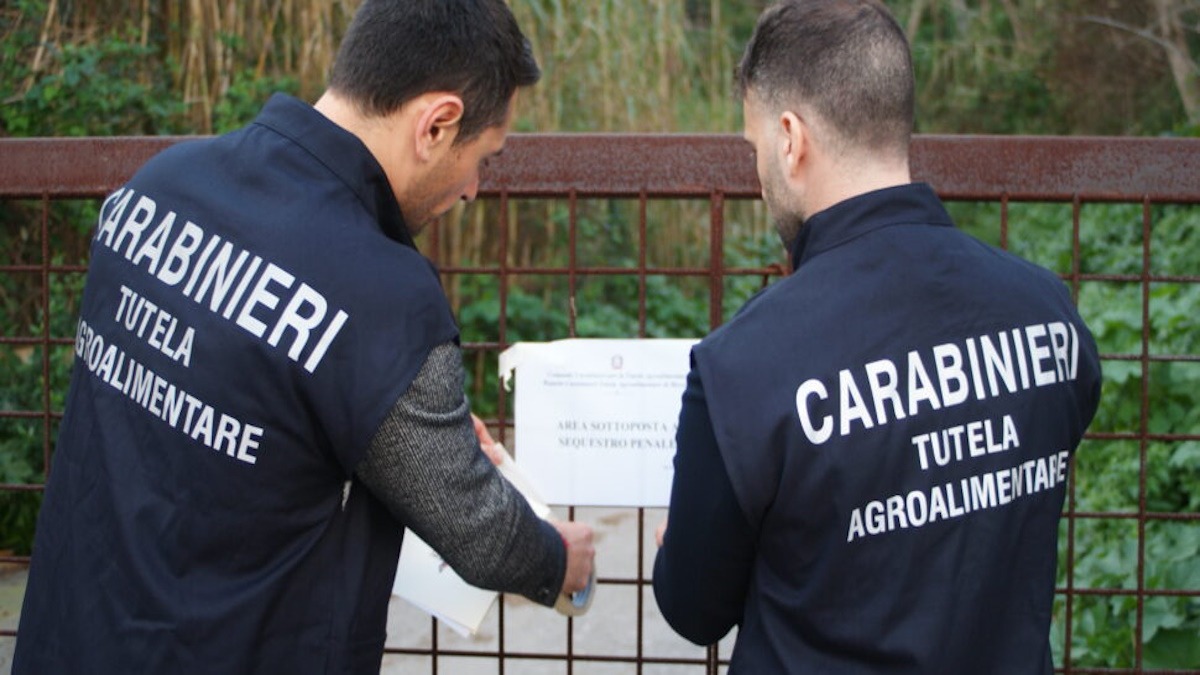Truffa sui fondi europei in Sicilia tra Messina, Enna e Caltanissetta: i nomi dei 13 indagati - 