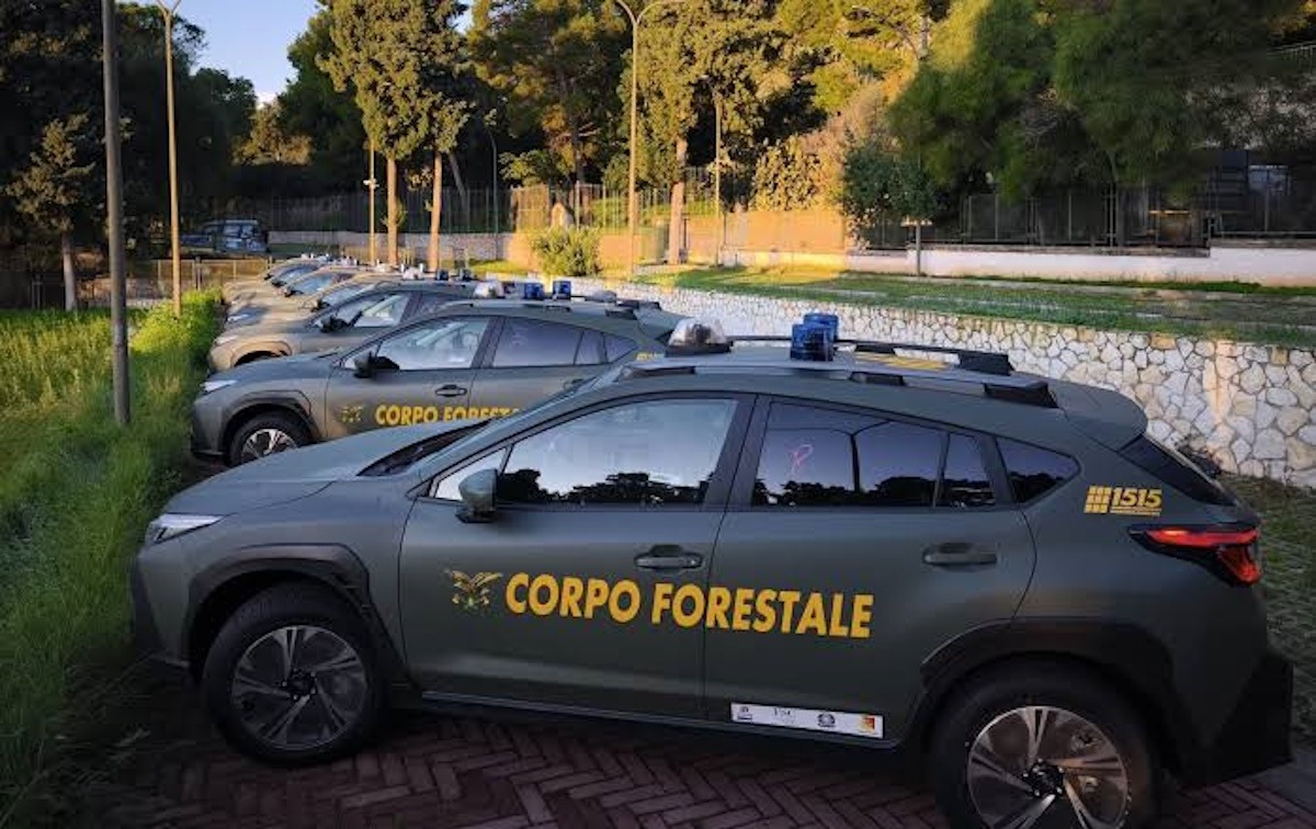 Ambiente, direttiva a Corpo forestale per intensificare controlli su prodotti agroalimentari in arrivo in Sicilia - 