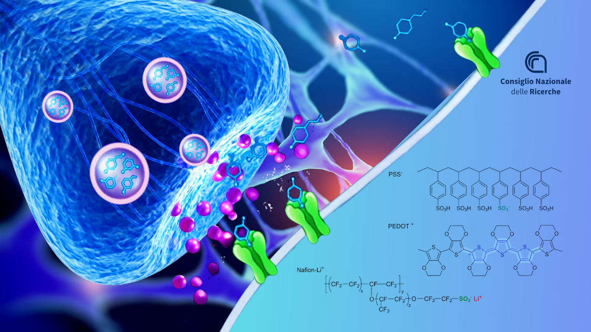 Dal CNR il chip che imita il cervello, anche nell’oblio - 